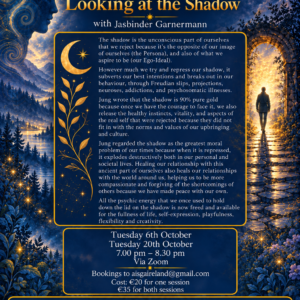 Dreamwork – Looking at the Shadow both sessions